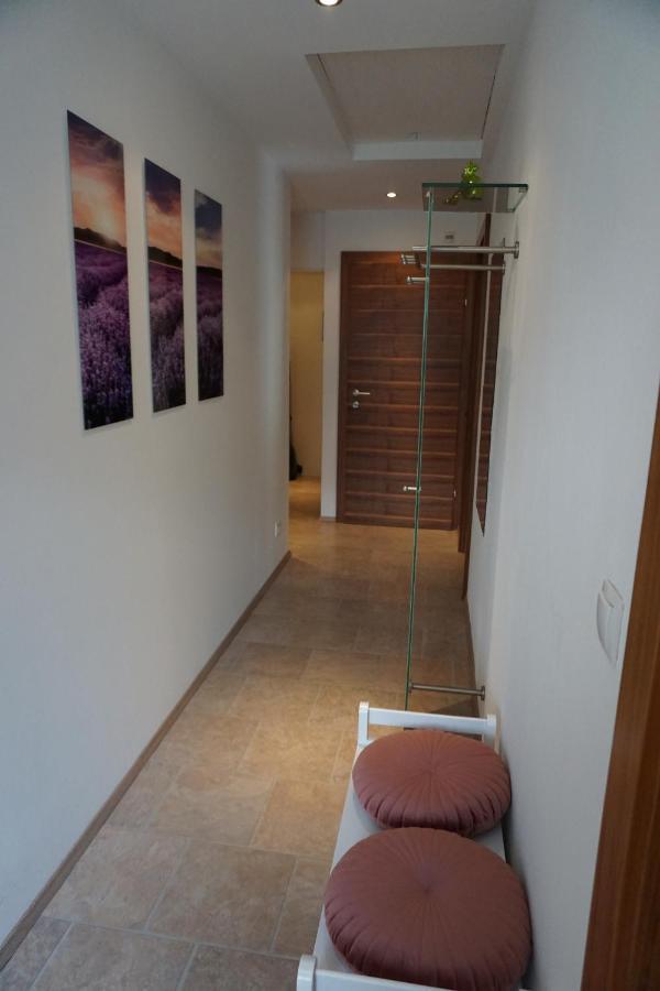 Appartement Winteraugut Werfen Zewnętrze zdjęcie
