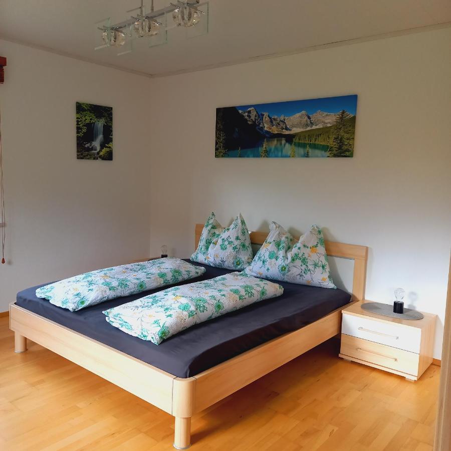 Appartement Winteraugut Werfen Zewnętrze zdjęcie