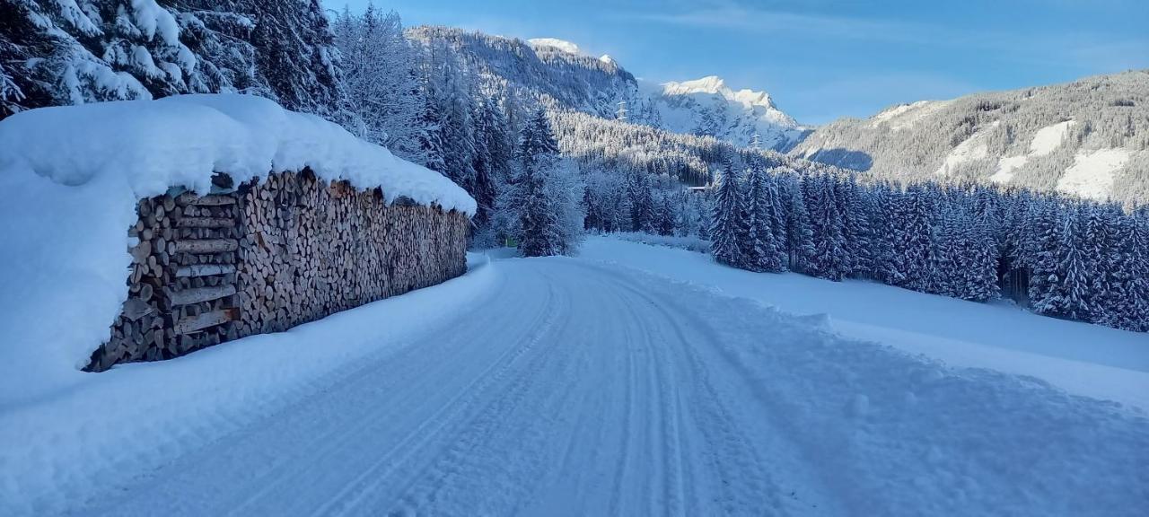 Appartement Winteraugut Werfen Zewnętrze zdjęcie