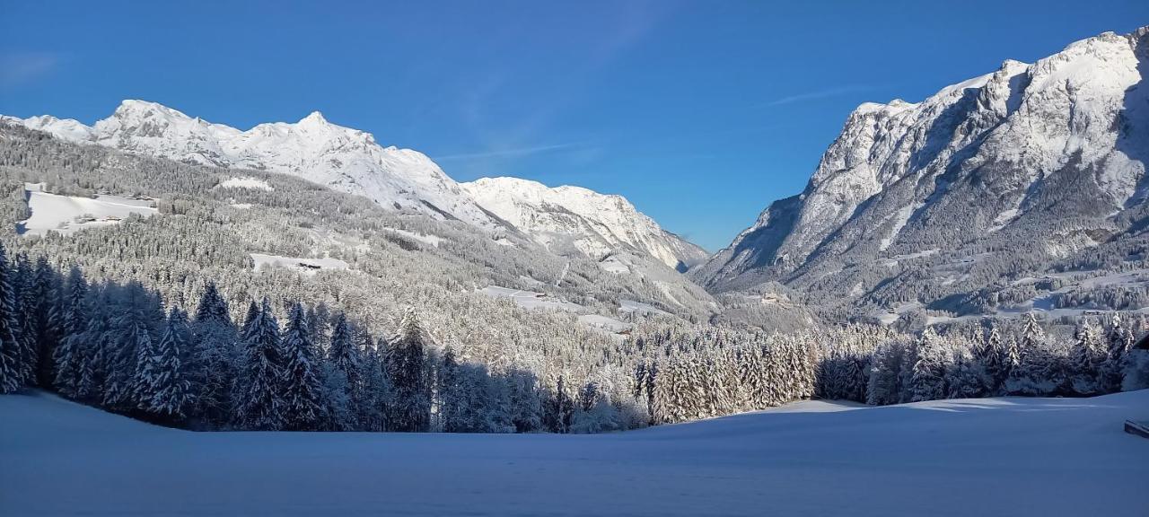 Appartement Winteraugut Werfen Zewnętrze zdjęcie